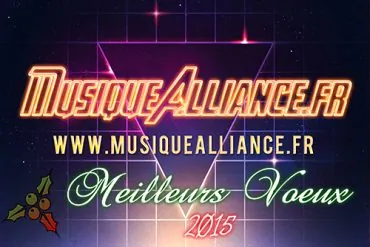 Joyeuses fêtes et meilleurs vœux pour l'année 2015 13 Joyeuses fêtes et meilleurs vœux pour l'année 2015