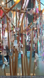 Fauve concert Nice 2015 (2)