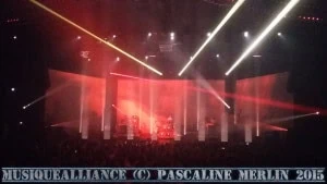 Fauve concert Nice 2015 (8)