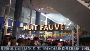 Fauve concert Nice 2015 (9)