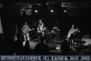 The Coyotes' Dessert-17