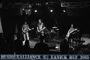 The Coyotes' Dessert-17