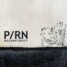 Rencontre avec Porn, un groupe de rocker lyonnais