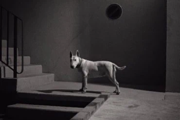 The Angry Cats en concert au Bus Palladium aux côtés de Western Machine et Reckless Jacks le 28 janvier 2017 32 The Angry Cats en concert au Bus Palladium aux côtés de Western Machine et Reckless Jacks le 28 janvier 2017