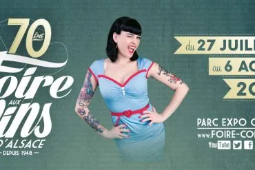 Sting, Renaud, Les Insus et Pixies confirmés pour la Foire aux Vins de Colmar (68)