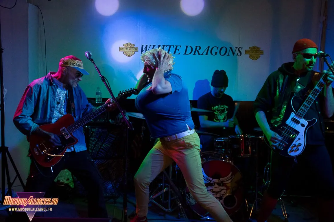 Laids Crétins des Alpes en concert au White Dragons : notre live-report
