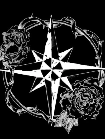 Coup de projecteur sur Show me your universe