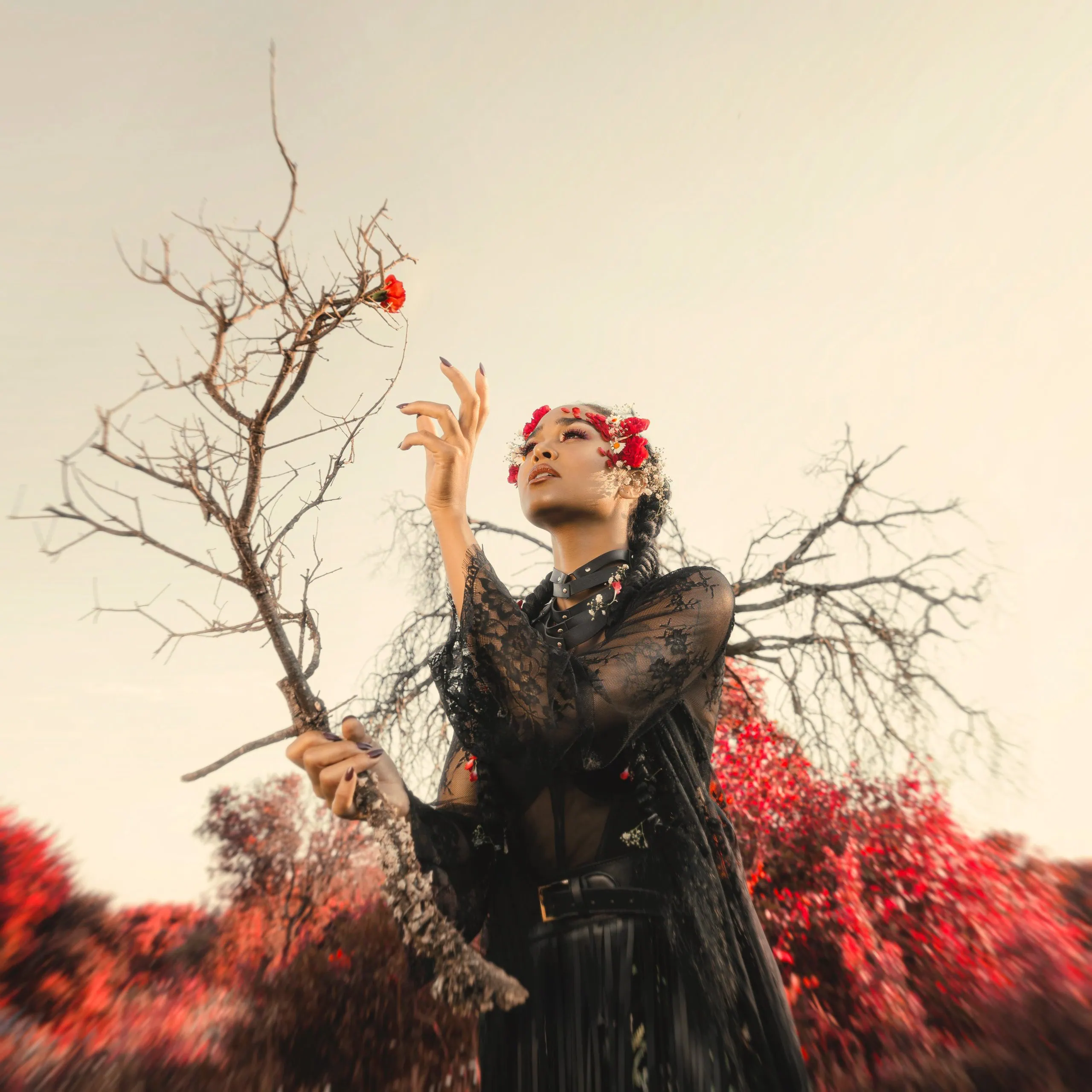 Snake Bite de Melissa Bonny