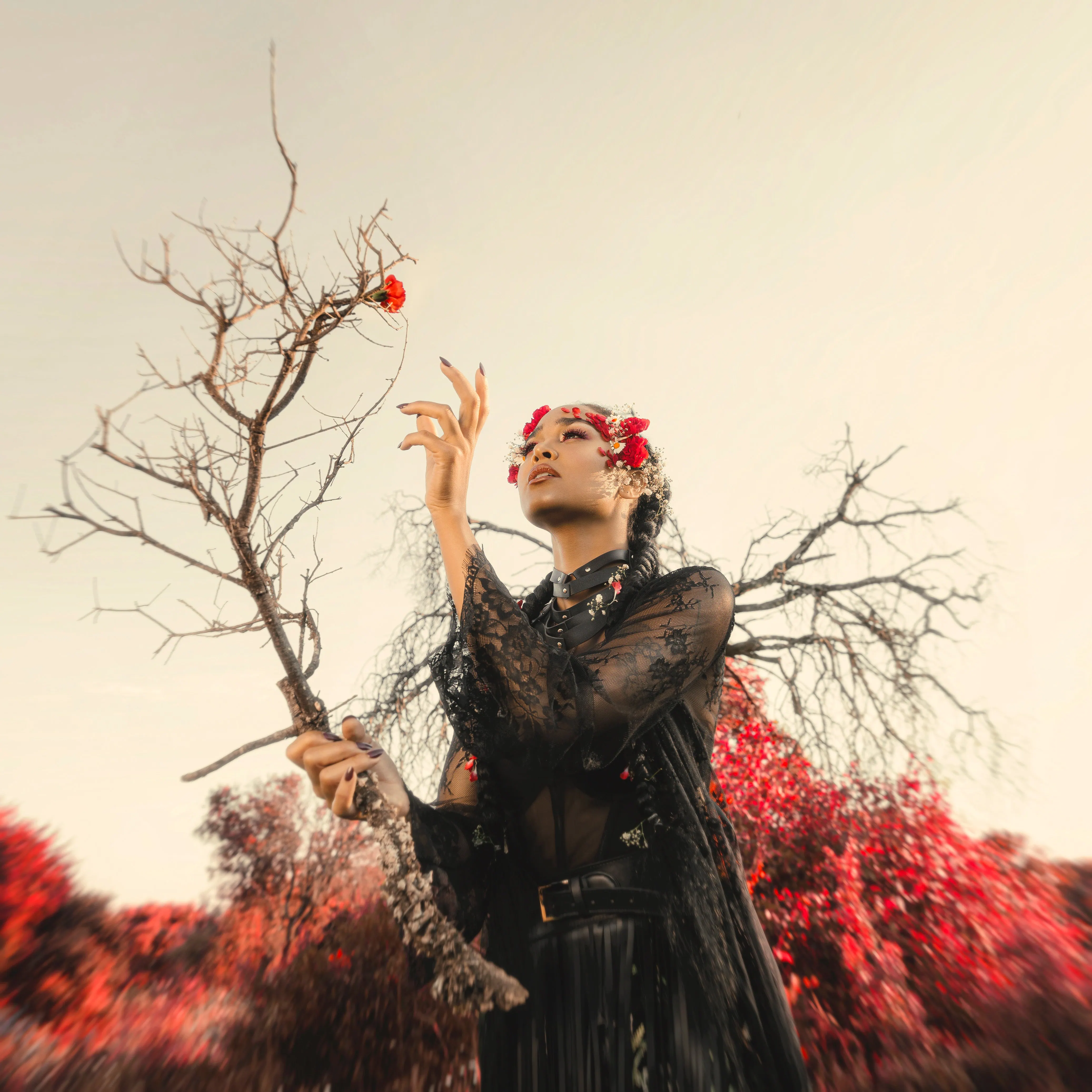 Snake Bite de Melissa Bonny