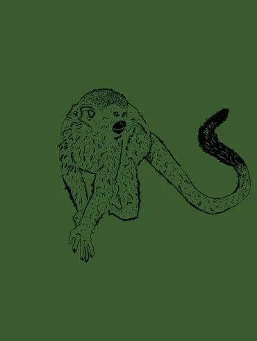 SAPOCAYA lance "Floresta", premier extrait afro-jazz brésilien 4 SAPOCAYA lance "Floresta", premier extrait afro-jazz brésilien