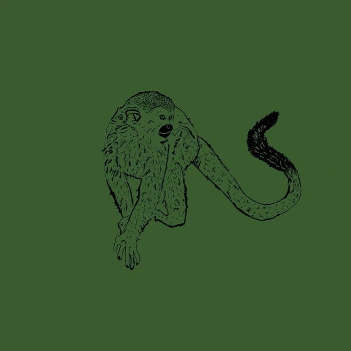 SAPOCAYA lance "Floresta", premier extrait afro-jazz brésilien