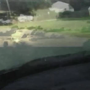 Laurel présente son nouveau single Bitter