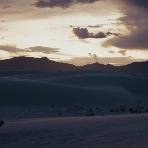 No Resolve présente le single Phenomenon