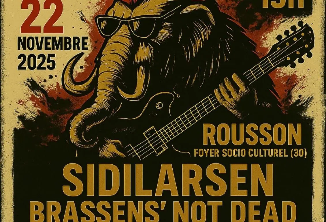 L'école des Comptoirs + Brassens' Not Dead + Sidilarsen aux Rocktambules (30) : notre galerie de photos