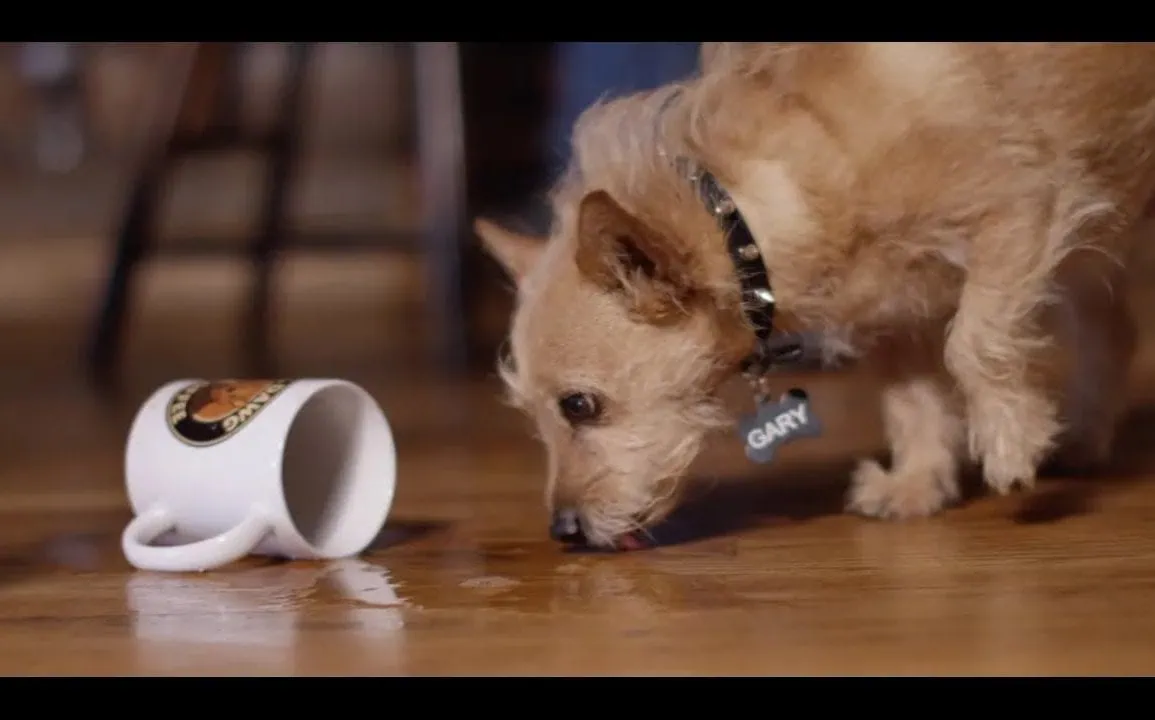 Trace Adkins : It All Adds Up To Us