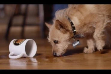 Trace Adkins : It All Adds Up To Us 2 Trace Adkins : It All Adds Up To Us