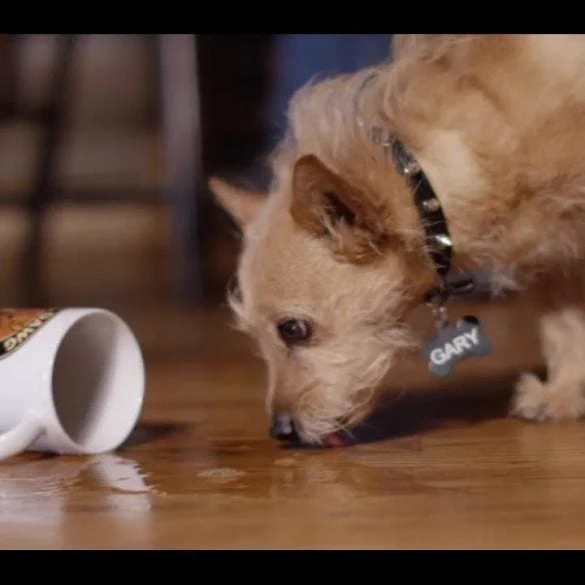 Trace Adkins : It All Adds Up To Us