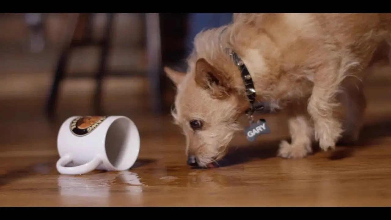 Trace Adkins : It All Adds Up To Us