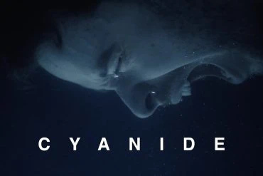Normandie enfonce le clou avec Cyanide 10 Normandie enfonce le clou avec Cyanide