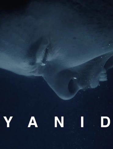 Normandie enfonce le clou avec Cyanide 20 Normandie enfonce le clou avec Cyanide