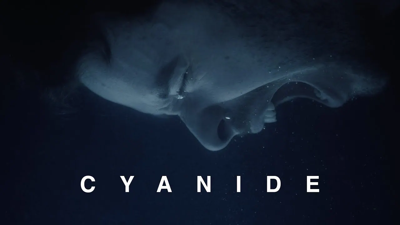 Normandie enfonce le clou avec Cyanide