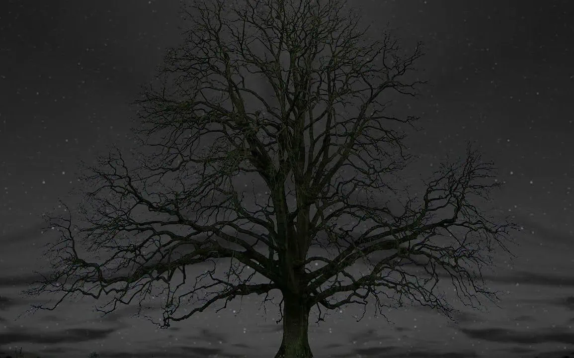 Kiefer Sutherland dévoile le clip de Simpler Time, extrait de Grey 1 Kiefer Sutherland dévoile le clip de Simpler Time, extrait de Grey