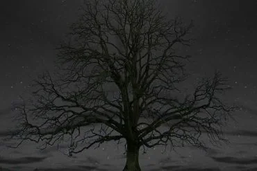 Kiefer Sutherland dévoile le clip de Simpler Time, extrait de Grey 2 Kiefer Sutherland dévoile le clip de Simpler Time, extrait de Grey
