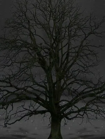 Kiefer Sutherland dévoile le clip de Simpler Time, extrait de Grey 4 Kiefer Sutherland dévoile le clip de Simpler Time, extrait de Grey