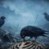 Nickelback sort Bones For The Crows 3 Nickelback sort Bones For The Crows
