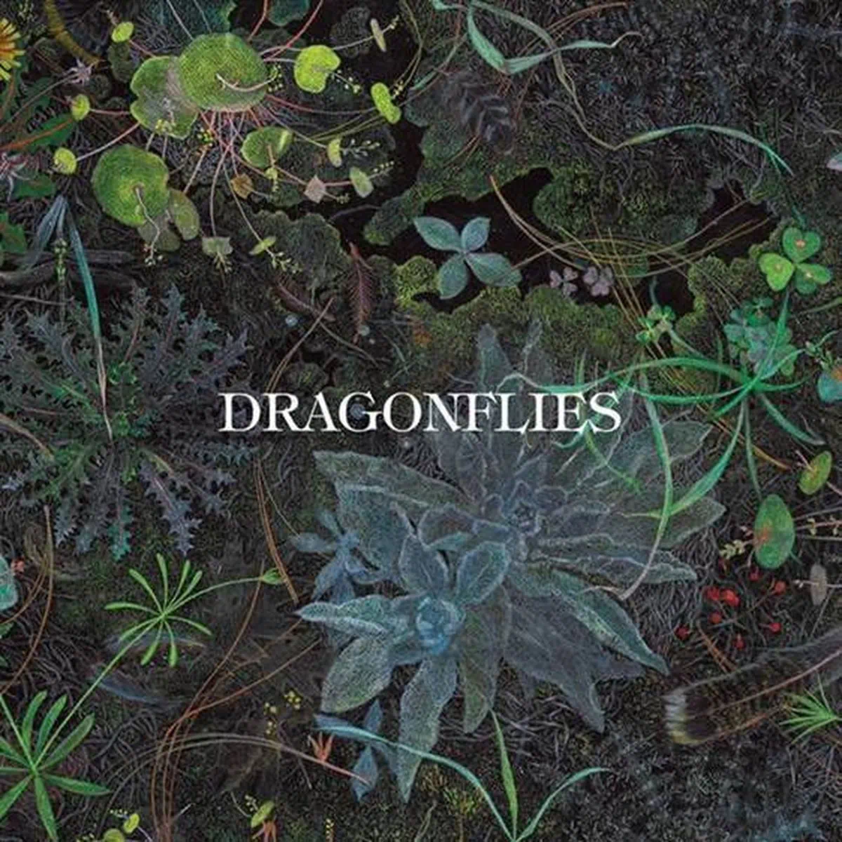 Dragonflies a dévoilé Slower, extrait de Dragonflies 4 Photo de l'artiste Slower - disponible !