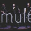 Amulet a dévoilé I am the Dark, extrait de The Dark