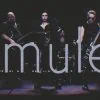 Amulet a dévoilé I am the Dark, extrait de The Dark